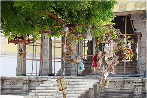 Kamakshi Amman